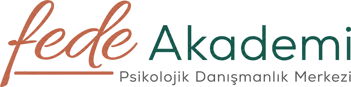 FEDE Akademi